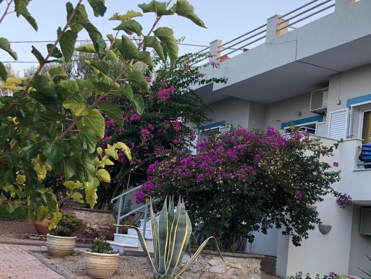 Koka ארמיוני