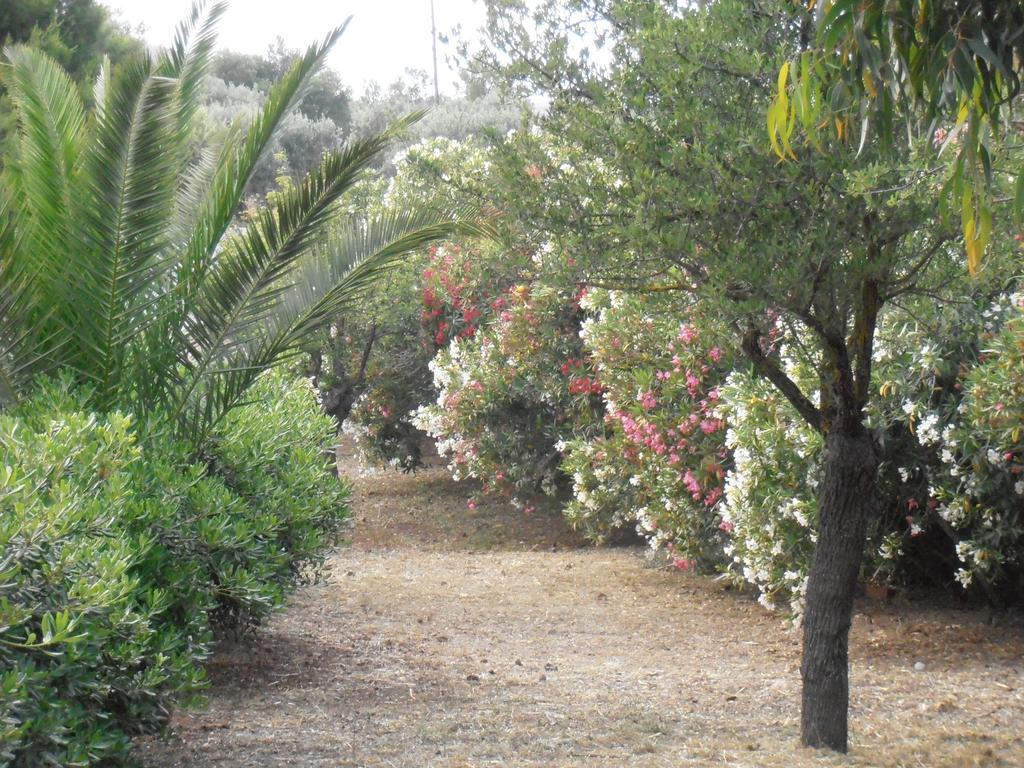 דירה Koka ארמיוני